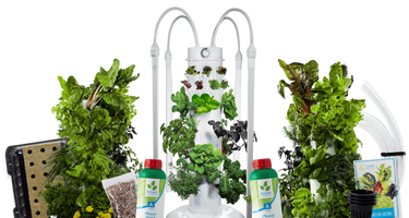 Tower Garden